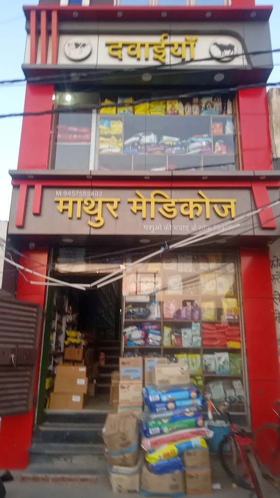 Best Medicoz in Bilari – Madhur Medicoz